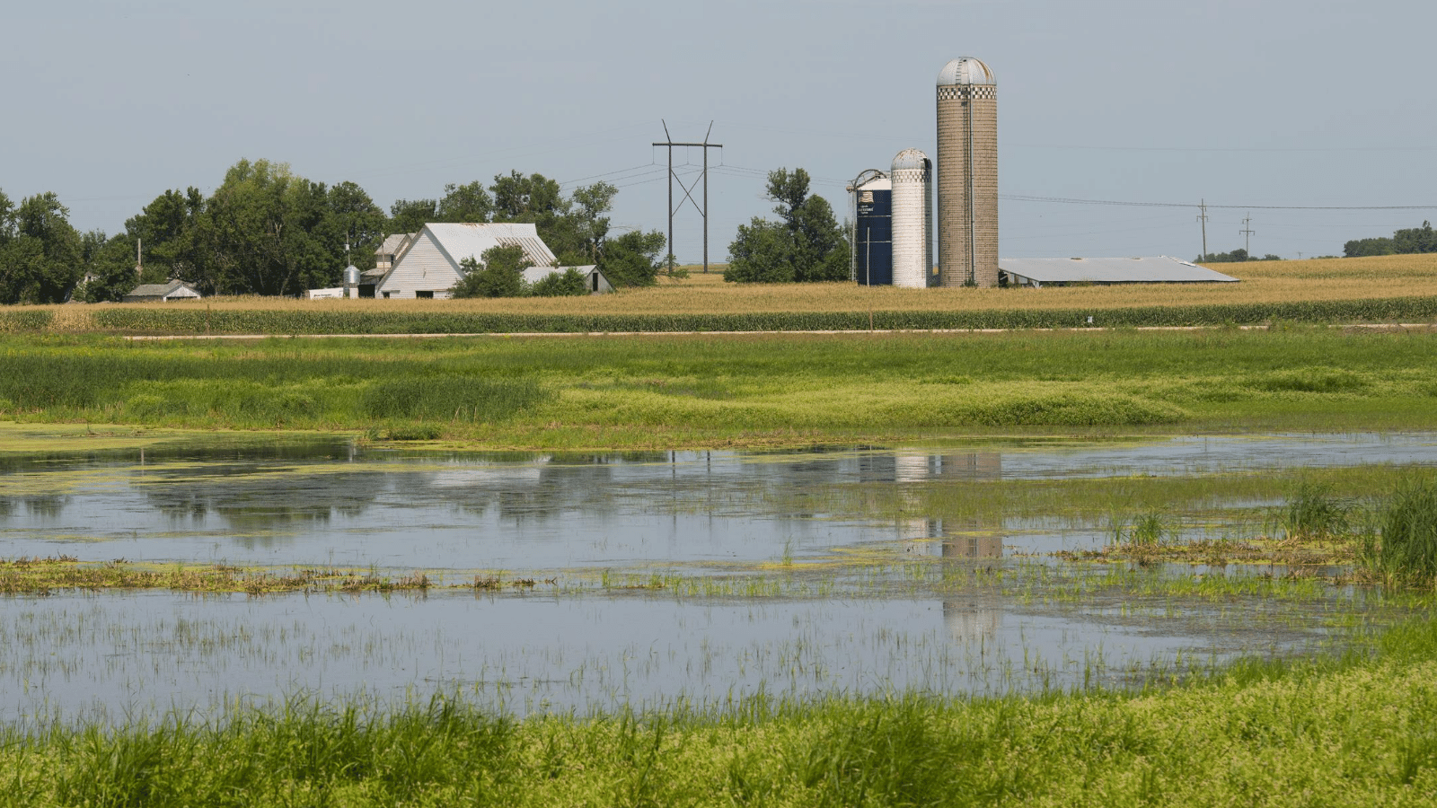 A farmstead is pictured in the distance with a marsh in