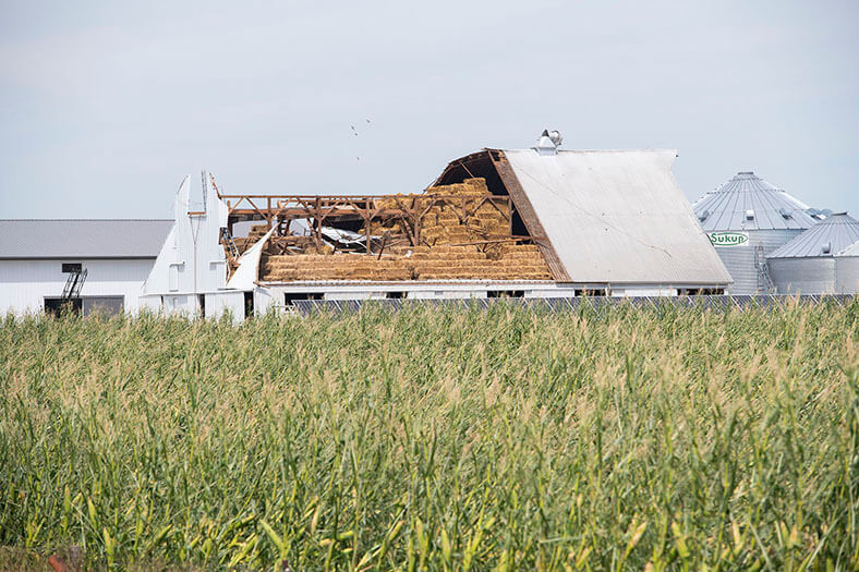 Storm-damaged barn sits near a cornfield.
