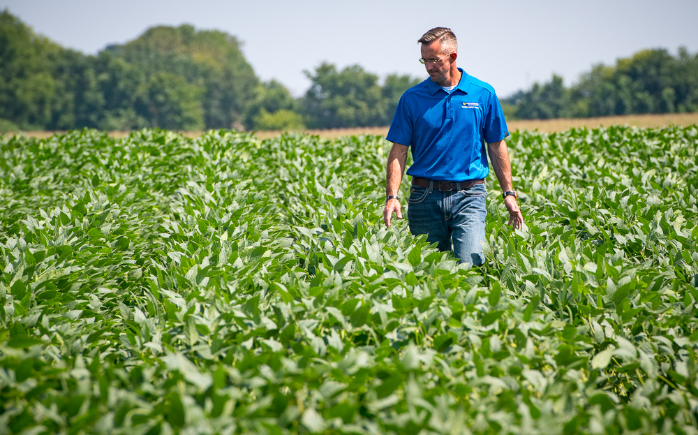 Brent Swart scouts a soybean field at his farm near Spe