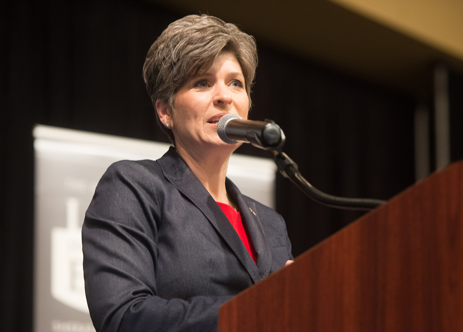 Senator Joni Ernst held a telephone town hall with cons