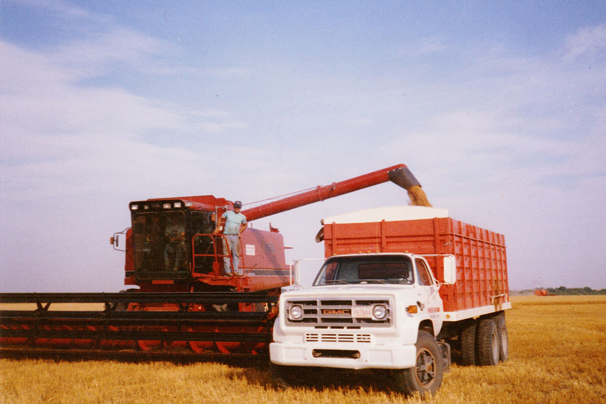 International Harvester Combine in Field