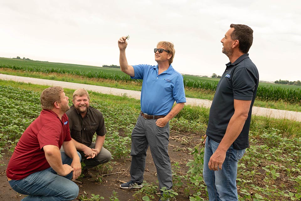 Four agronomists standing in soybean field