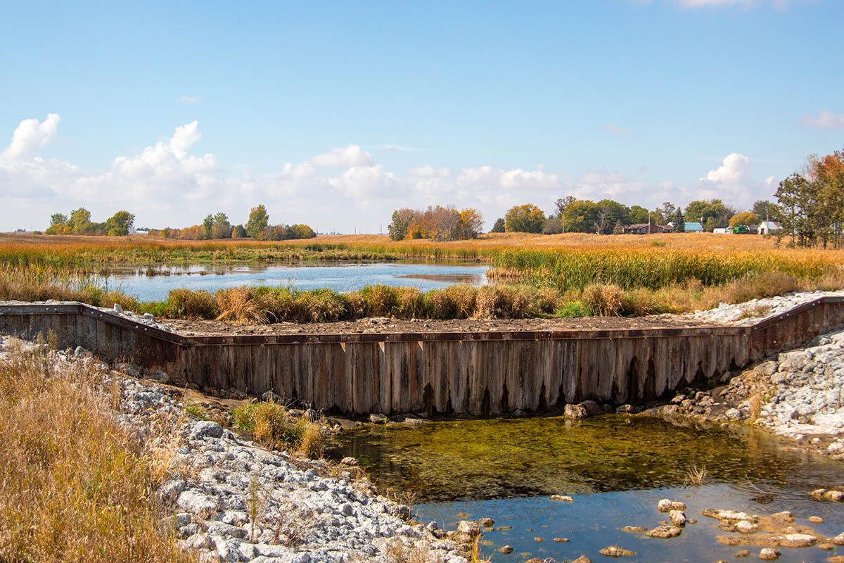 Constructed wetland in Iowa
