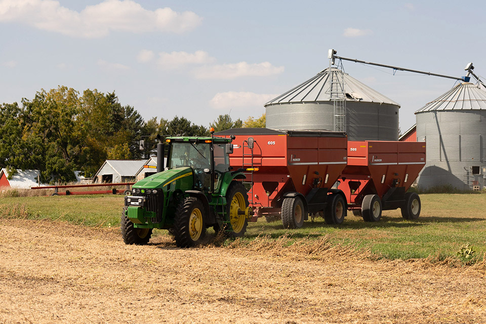 Tractor pulling grain wagons