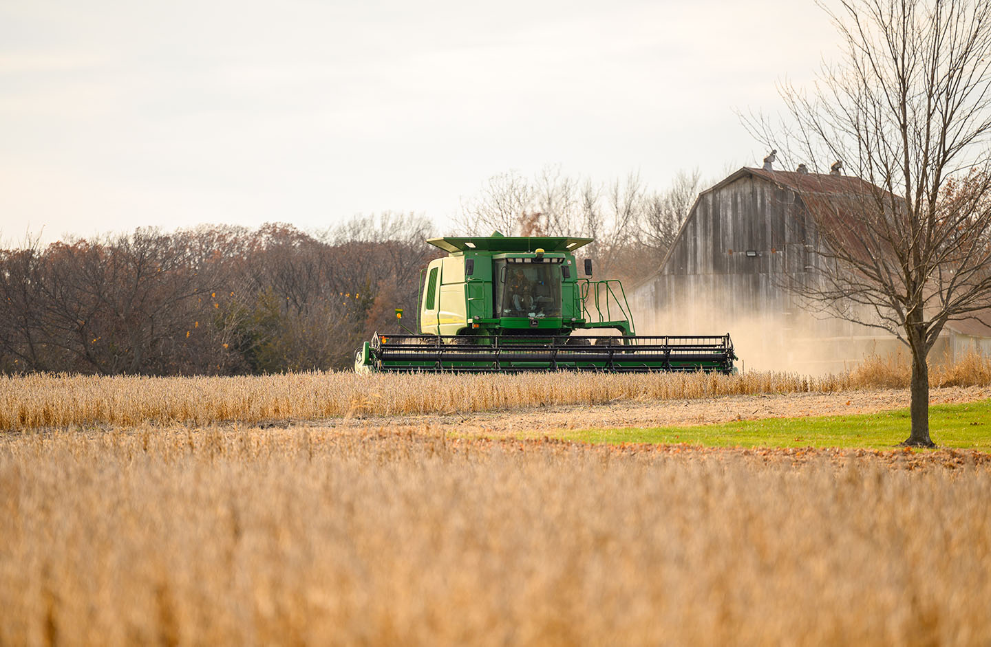 John Deere combine in soybean field during harvest