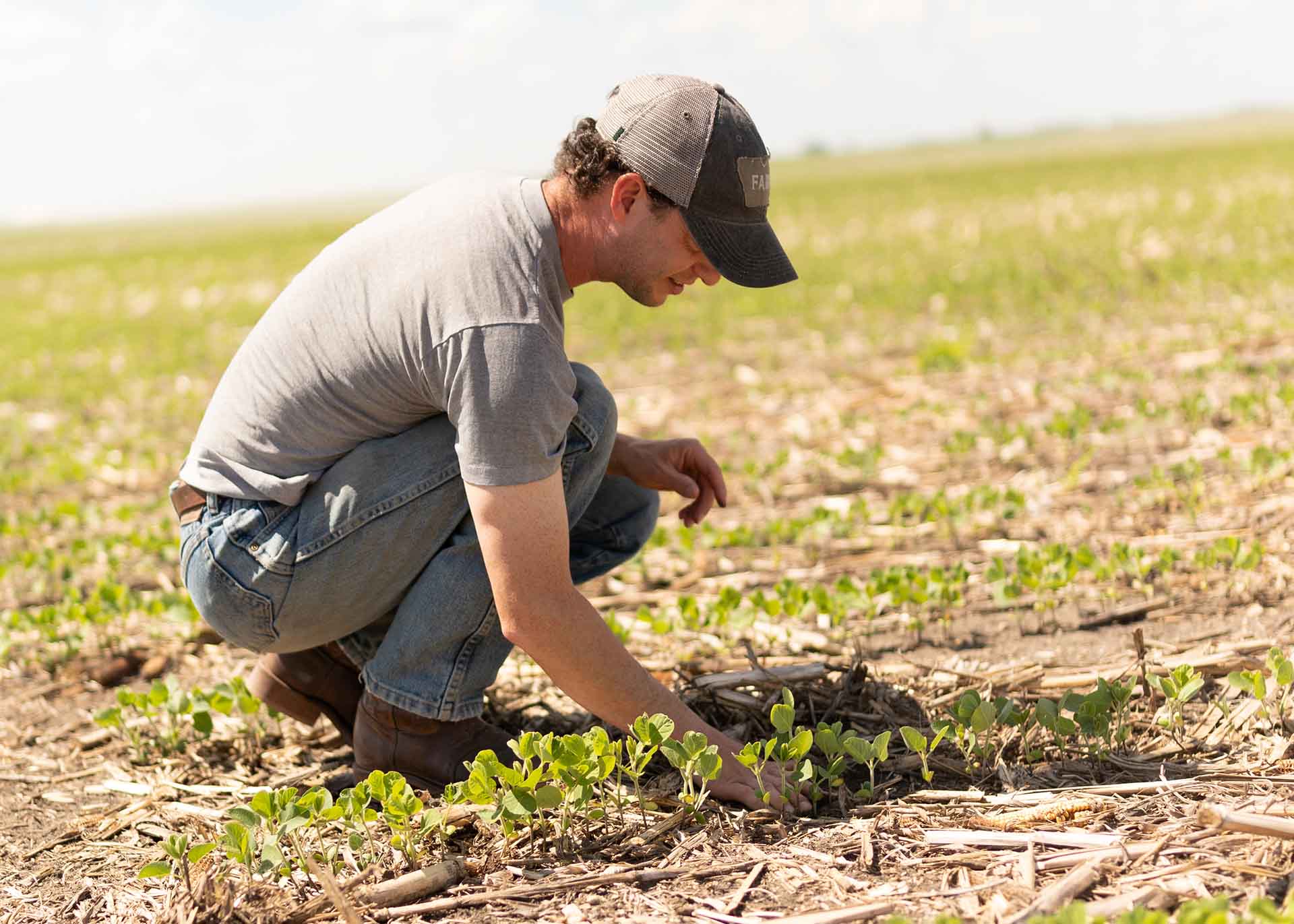 Iowa soybean farmer in soybean field