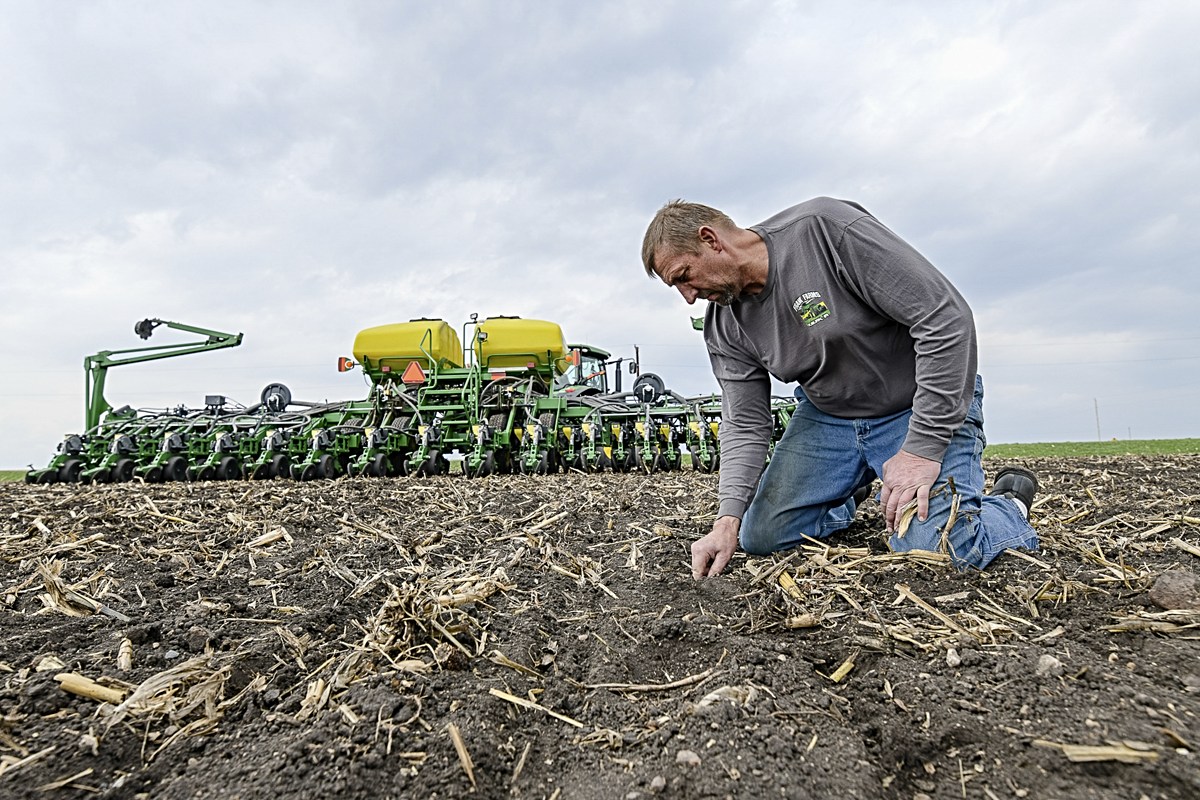 Jeff Frank kneels down amidst corn stubble to check his