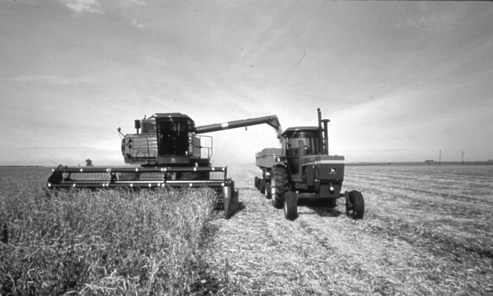 Black and white photo of harvest.