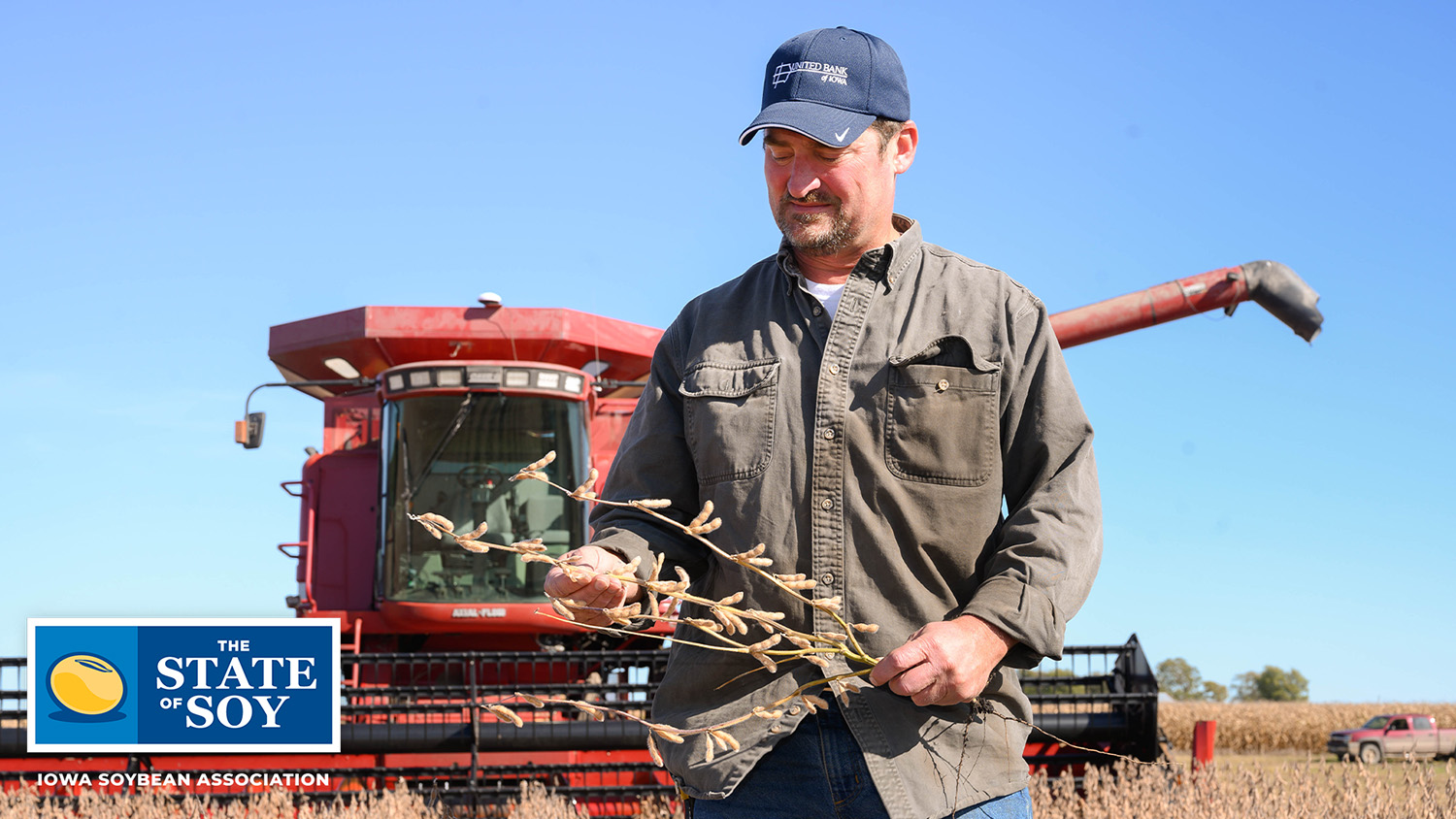Iowa soybean grower standing in field