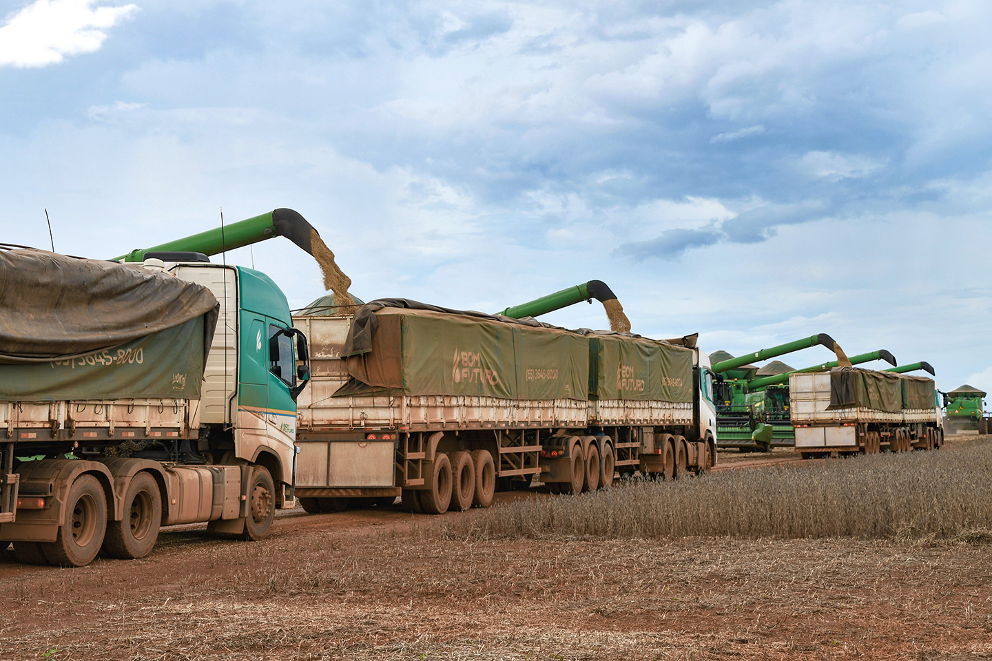 Soybean harvest by Bom Futuro in Mato Grosso. The compa