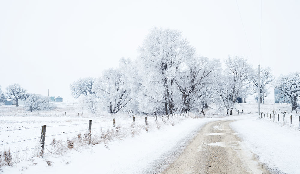 Snow covers fields and trees alongside a gravel road