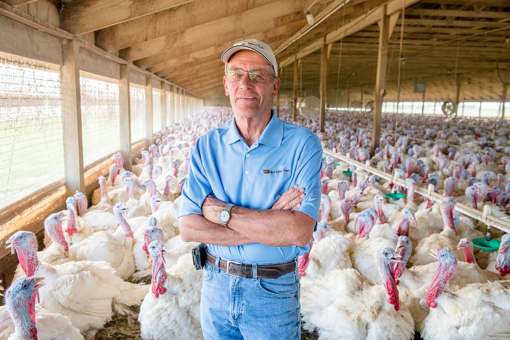 Ron Kardel, a Walcott turkey farmer, is raising the tur