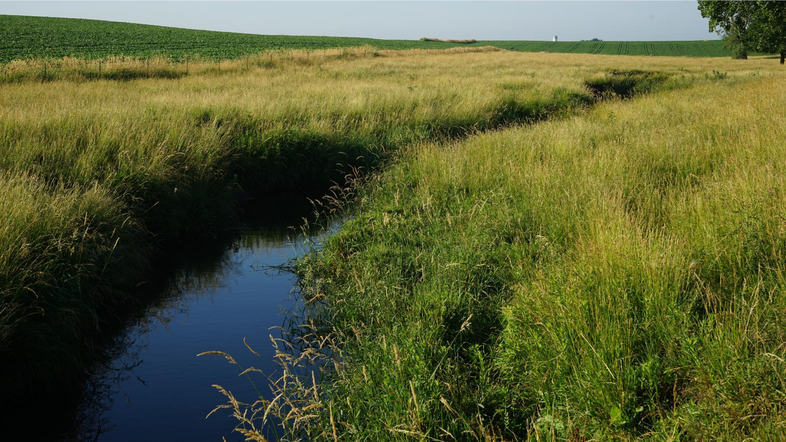 A stream runs alongside Iowa crop fields.
