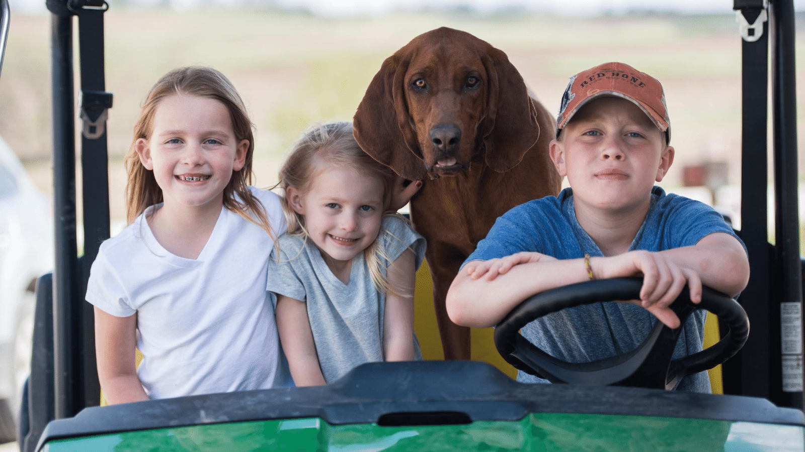 Farm kids and their dog take a ride on the farm utility