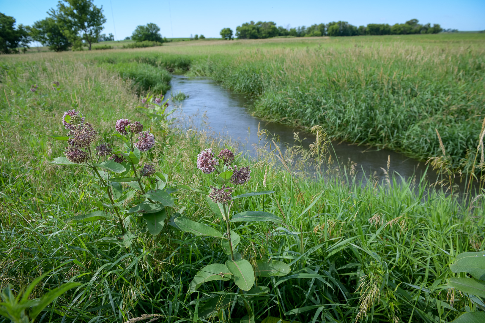 A stream near fields