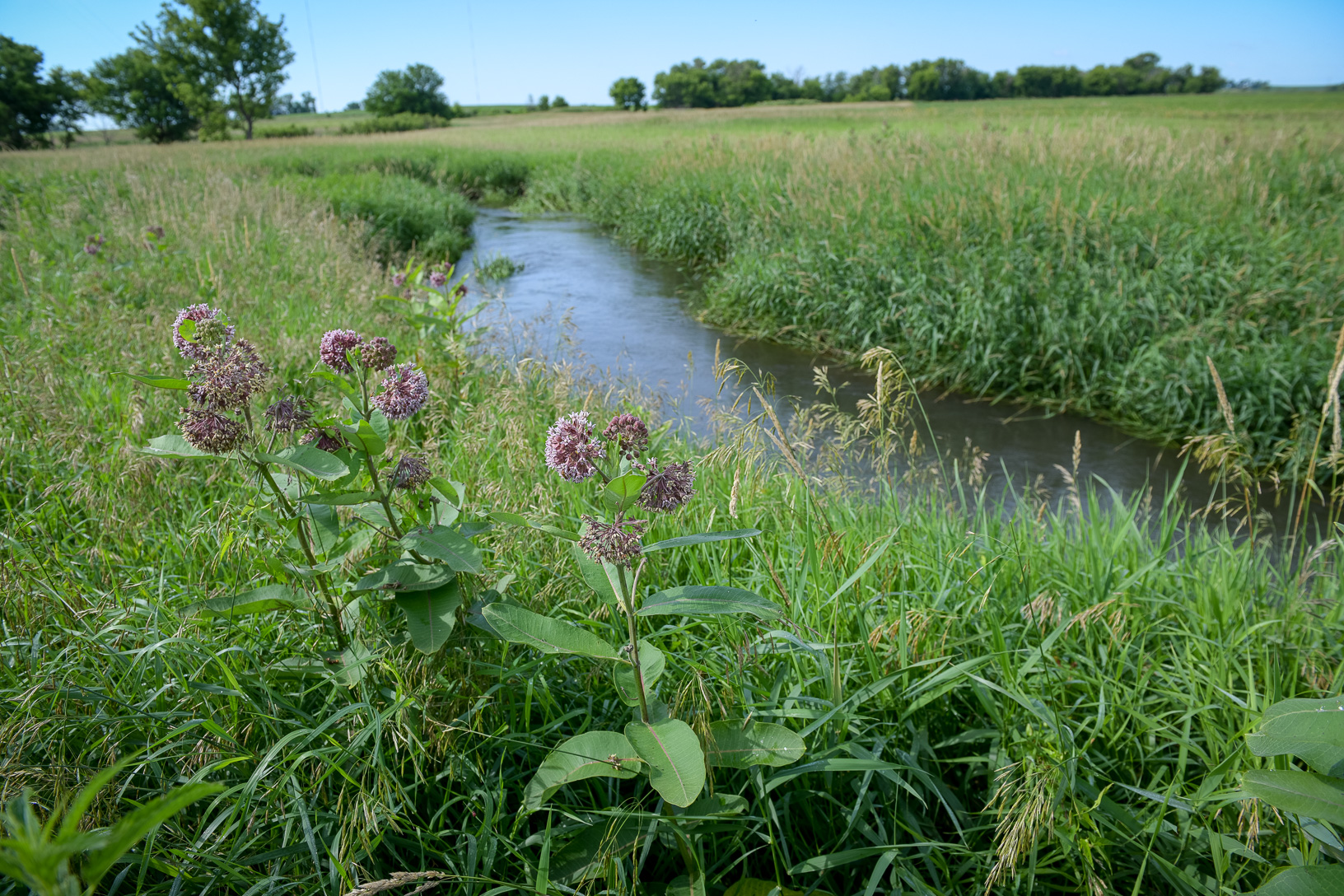A stream near fields