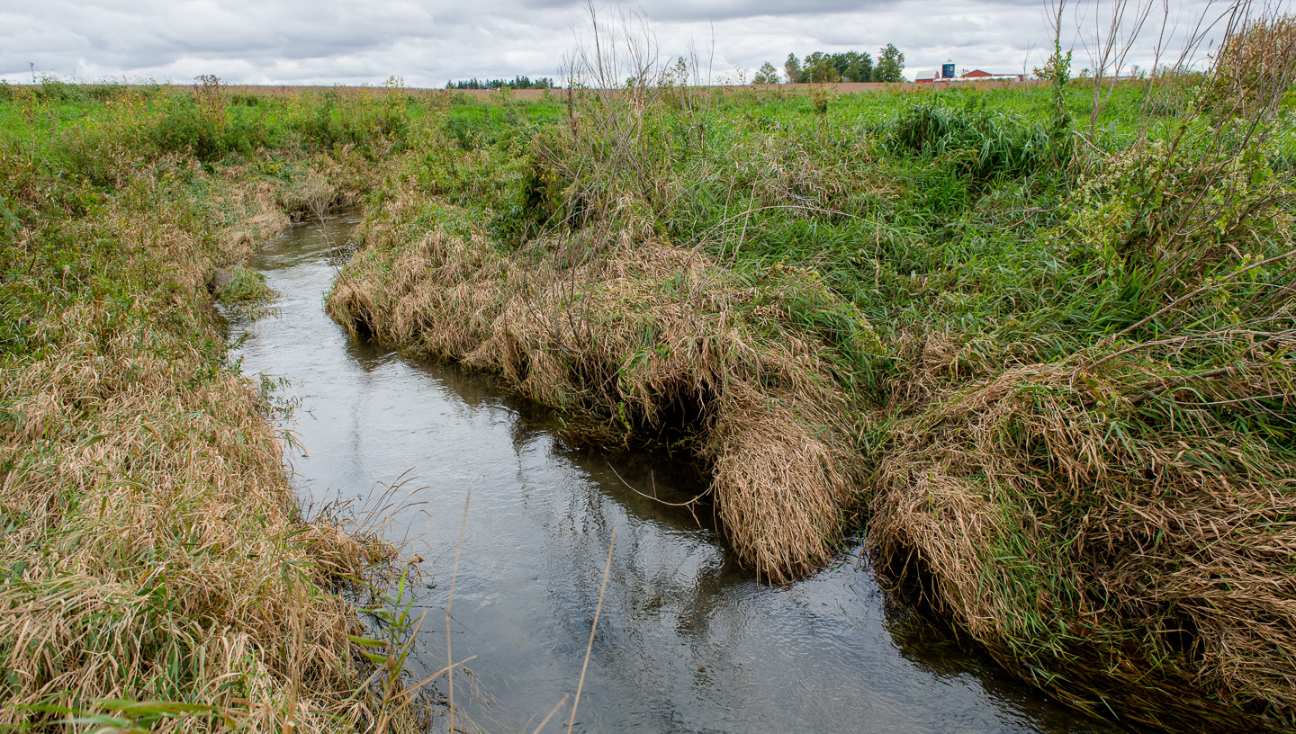 A stream near fields