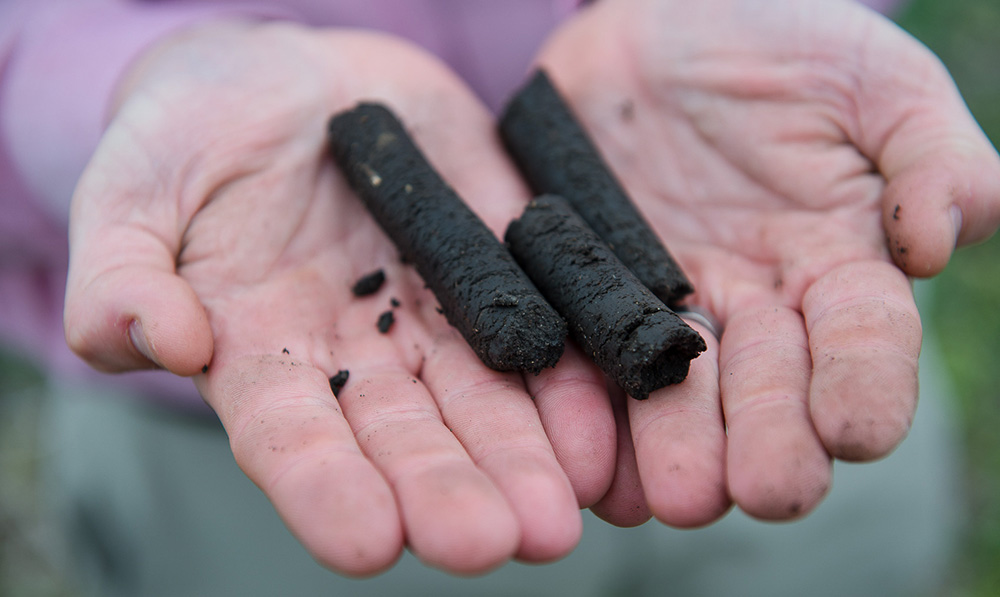 Three soil core samples are pictured in the hands of a 