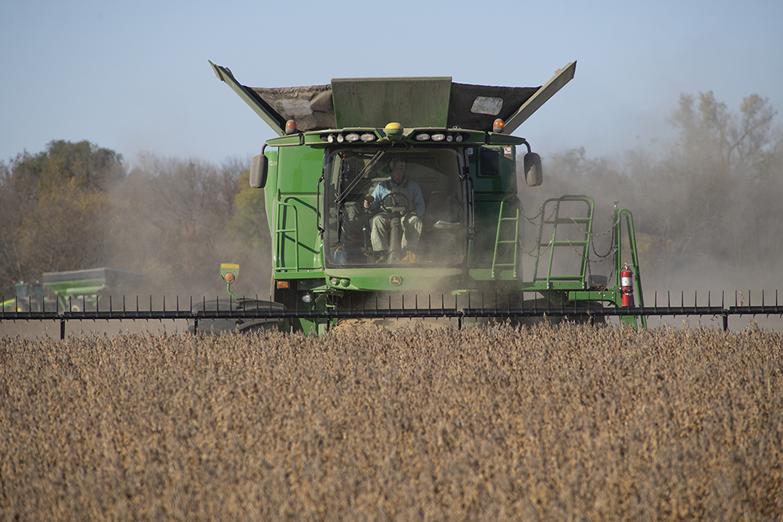 A farmer drives a combine through a field, harvesting s