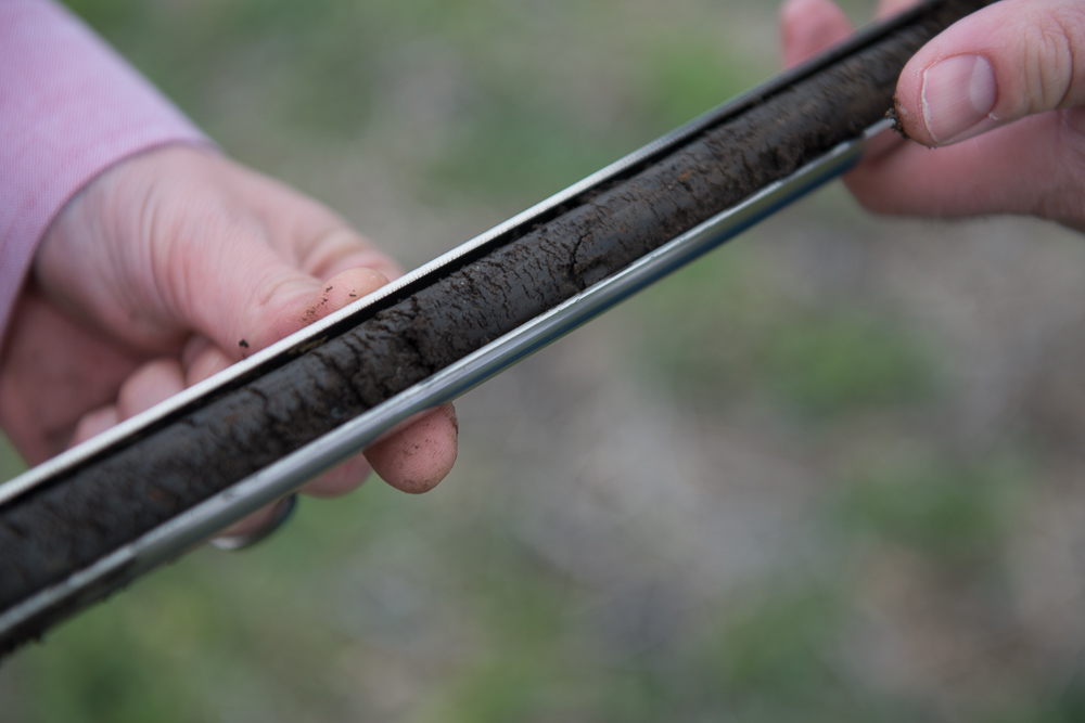 An agronomist holds a soil sample in the field.