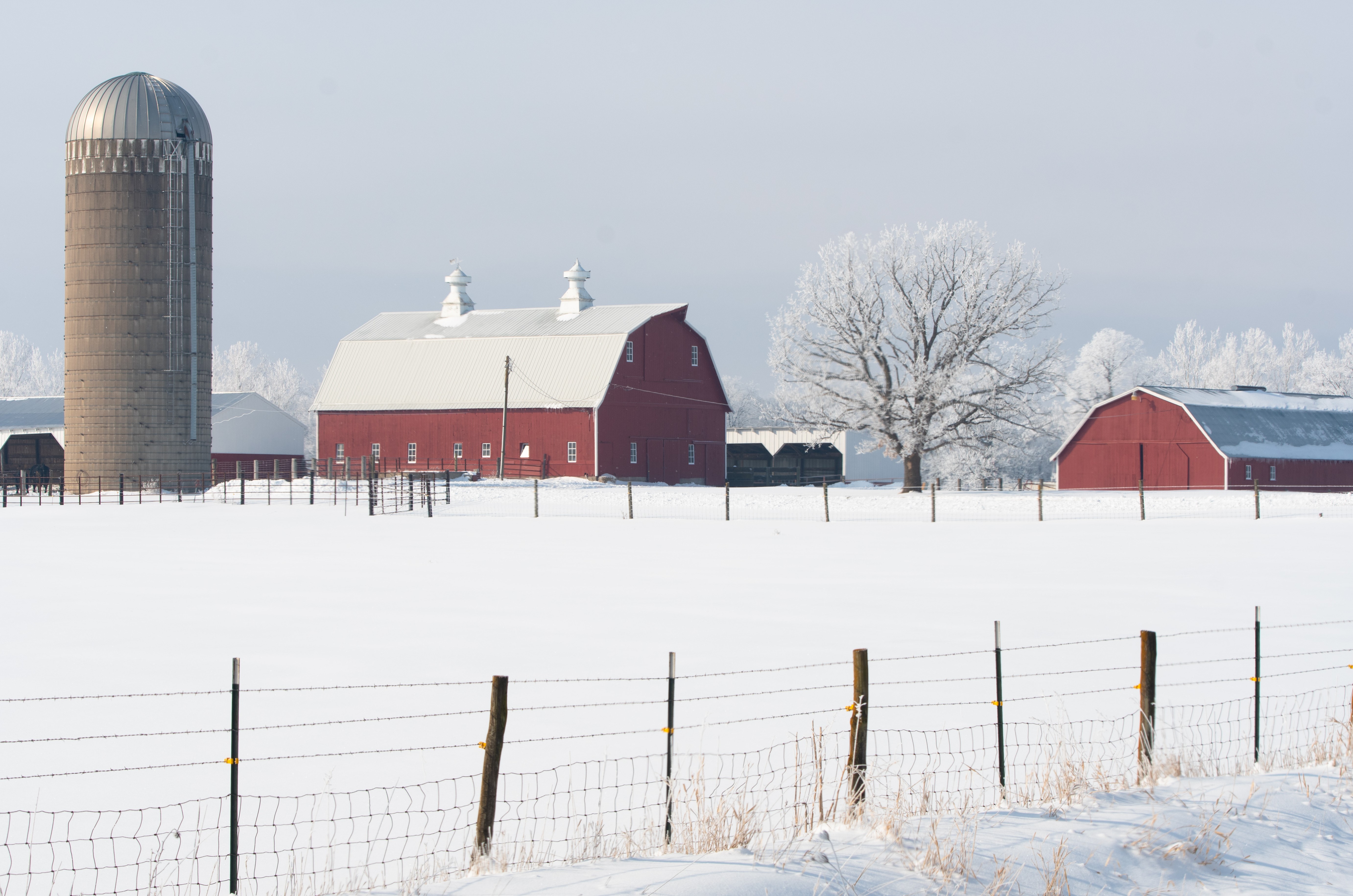 Snowy farmstead scene