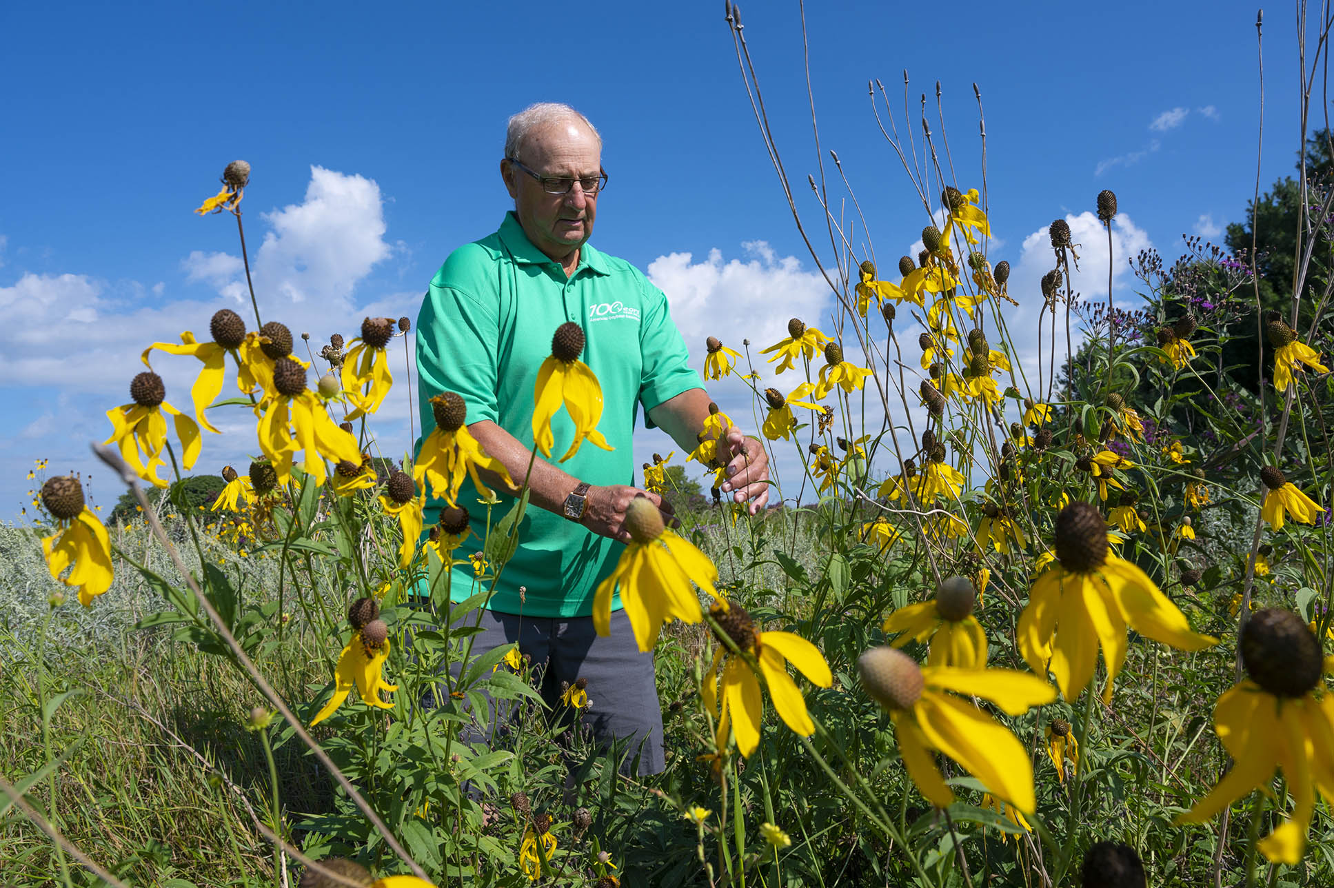 Wayne Fredericks examines plants in his pollinator habi