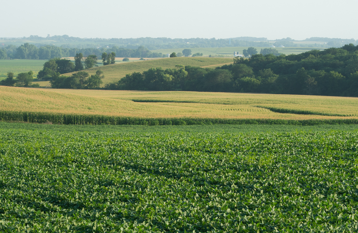 Agricultural landscape of crop fields