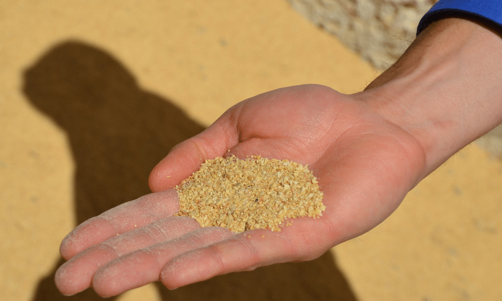 Soybean meal sits in an outstretched hand.