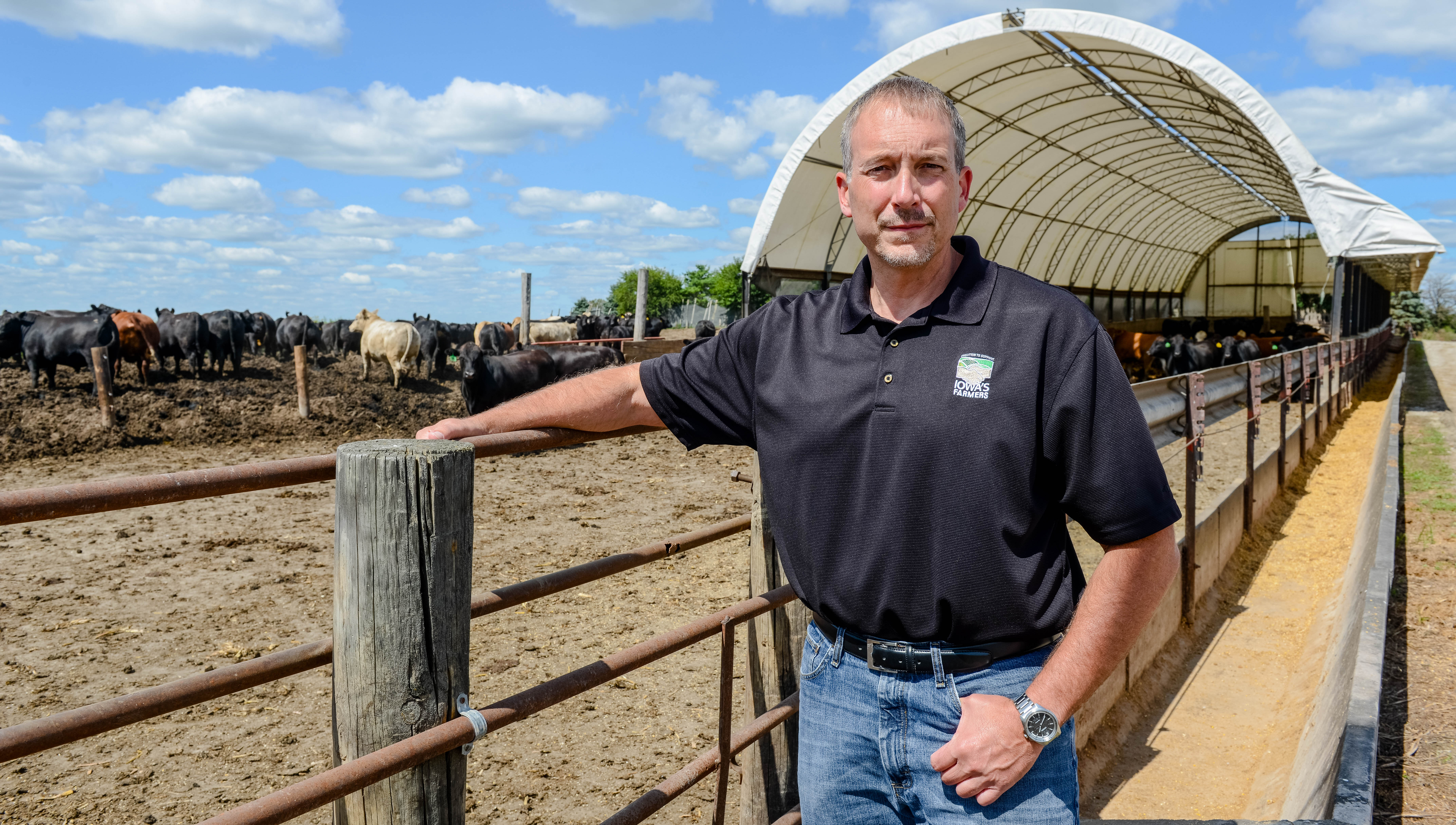 Brian Waddingham at a cattle lot