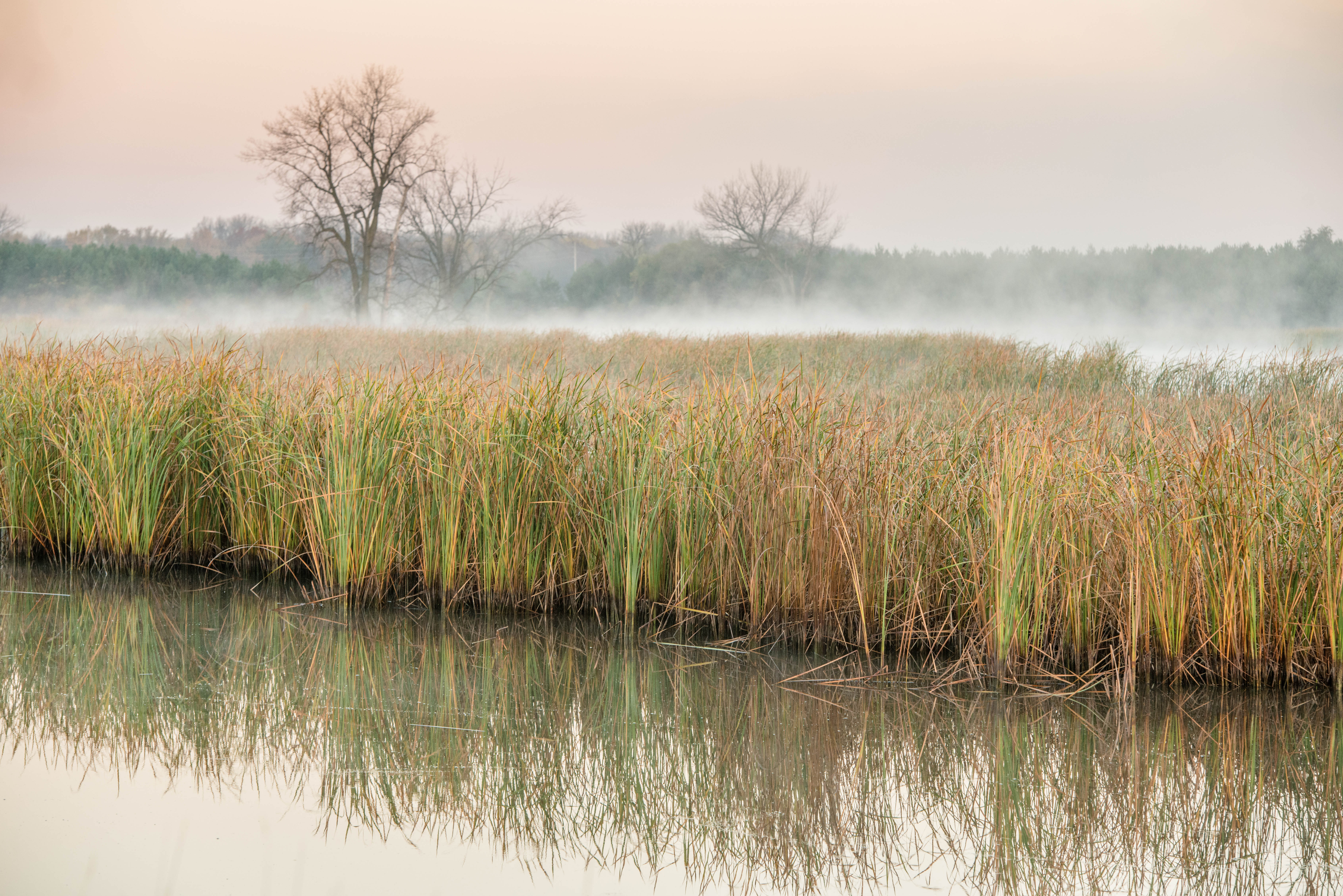 “Conservation funding is going to go up, but no one kno