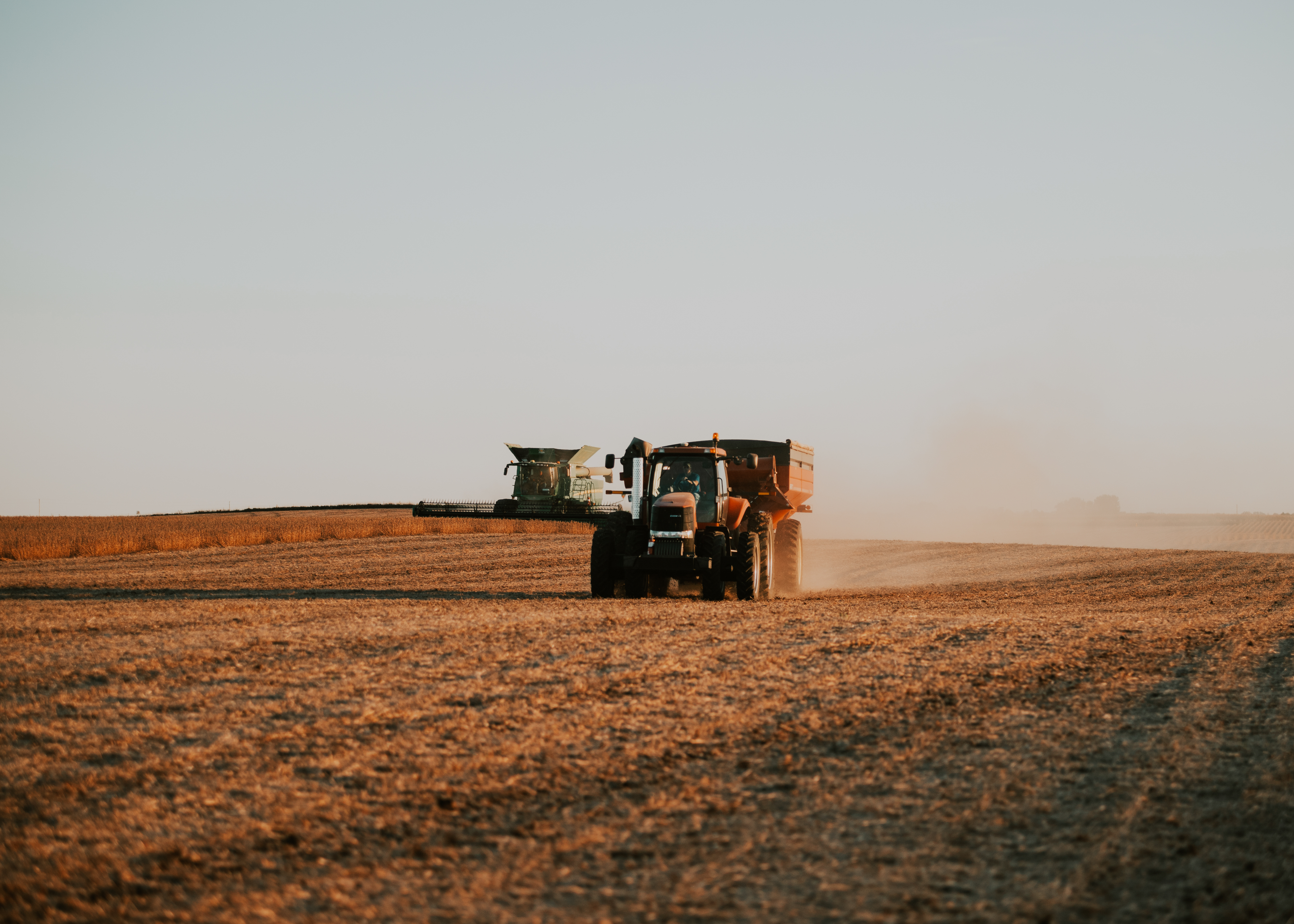 combining soybeans in Iowa