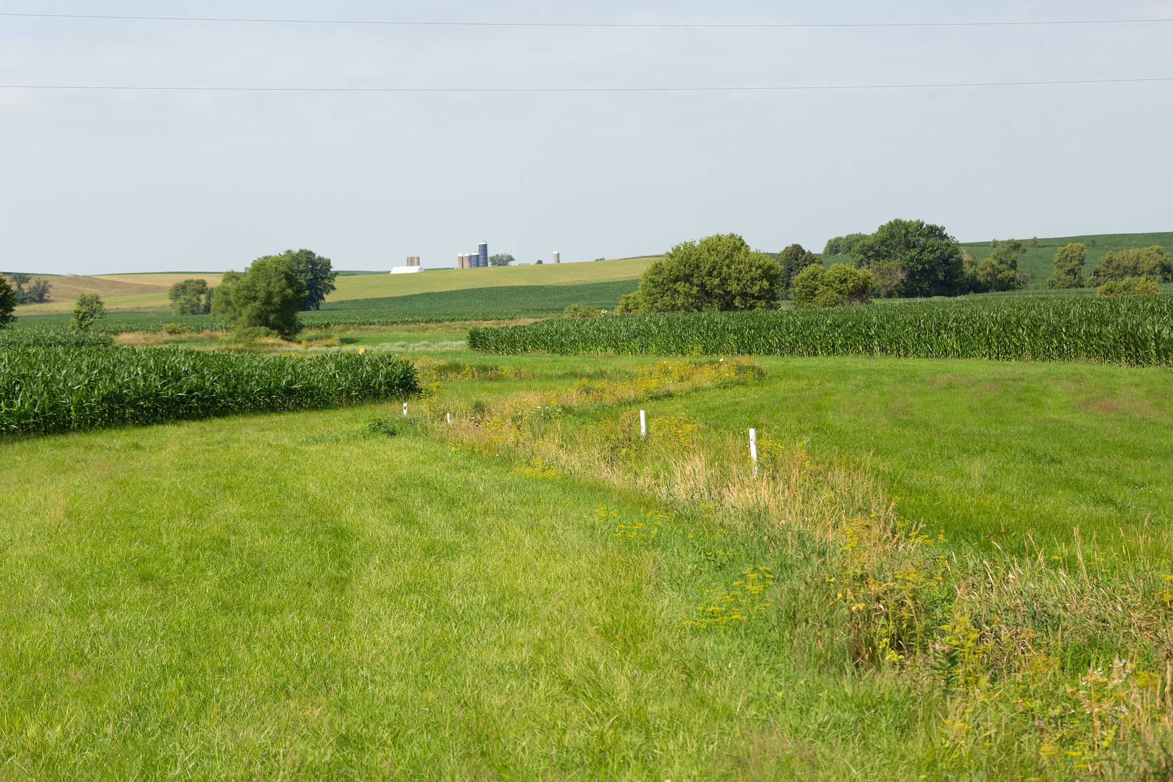 Waterway in Iowa field