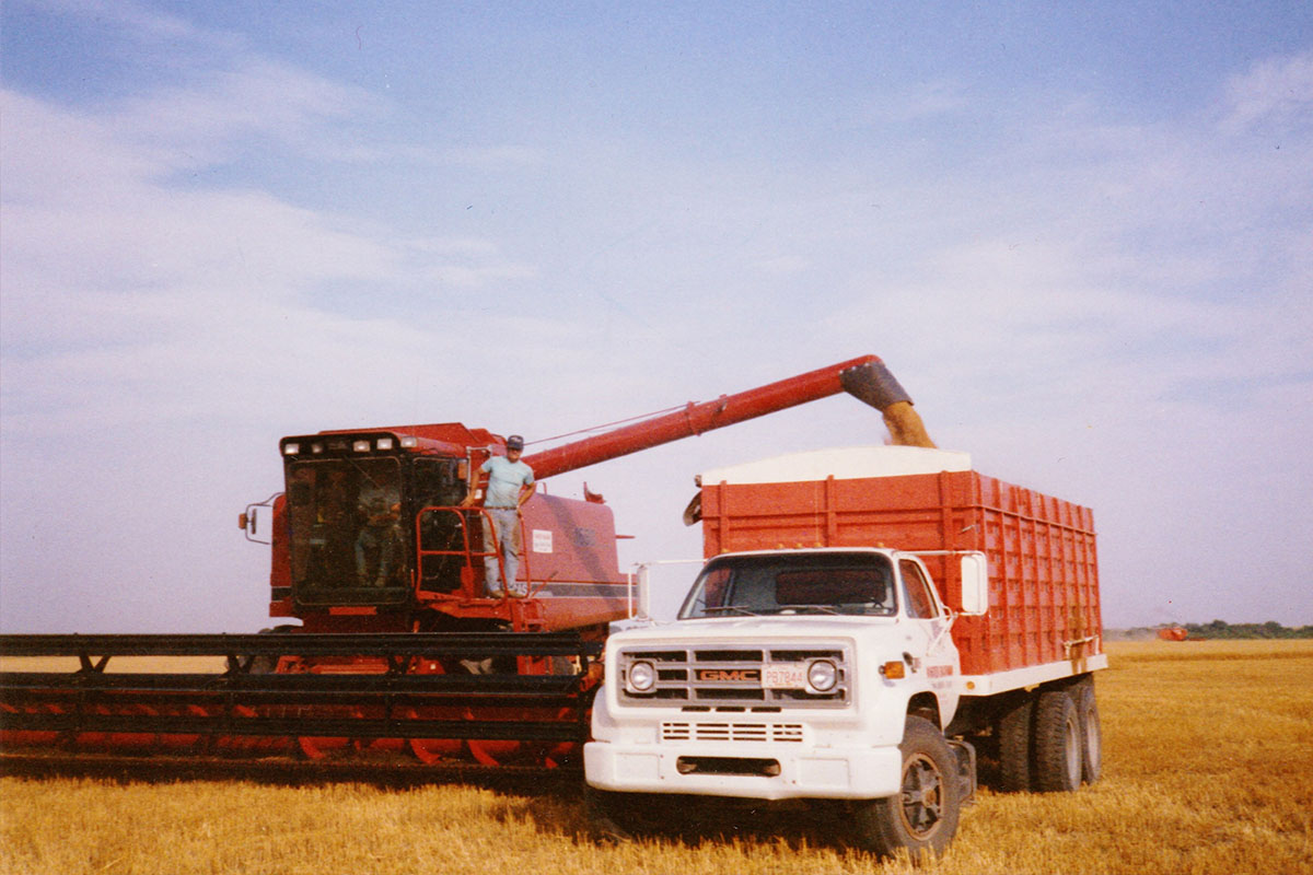 Warren Bachman unloading combine into a grain wagon International Harvester Combine in Field