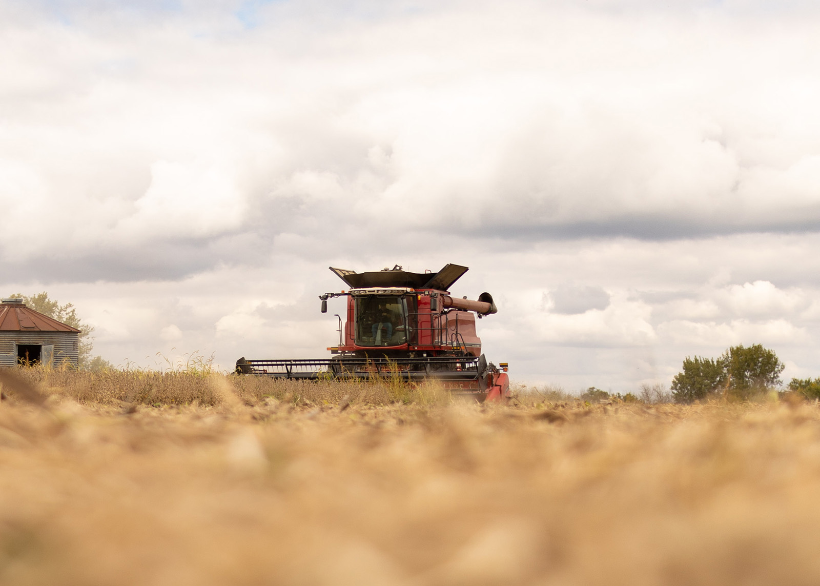 Farmer harvesting row crops in Iowa