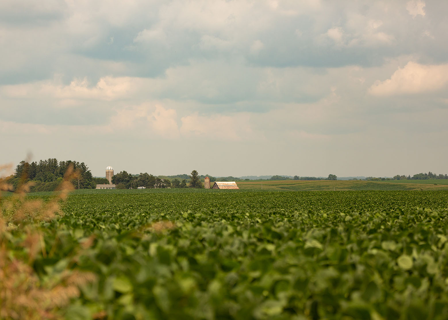 Iowa farmland values jumped 29% in 2021.