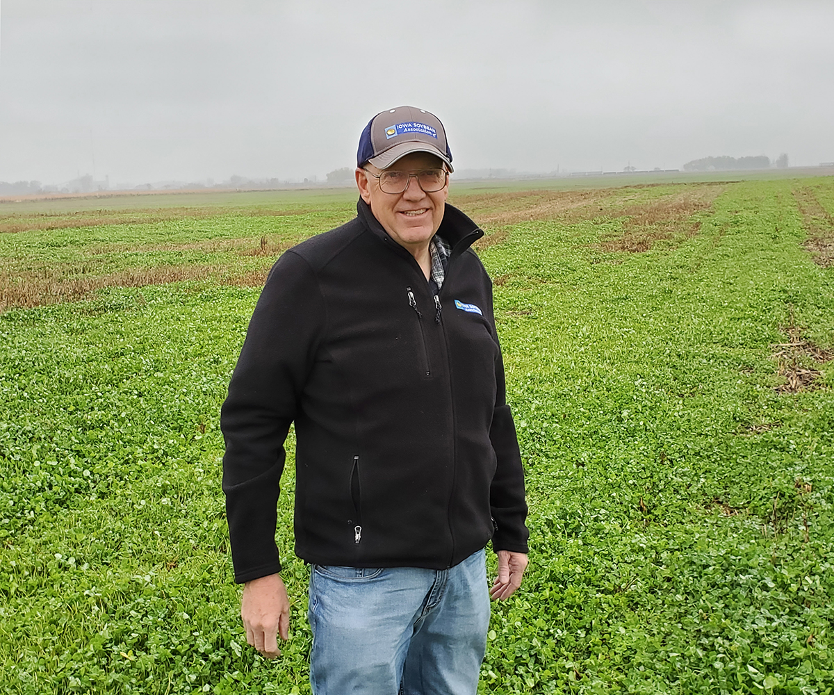 ISA member in field with cover crops