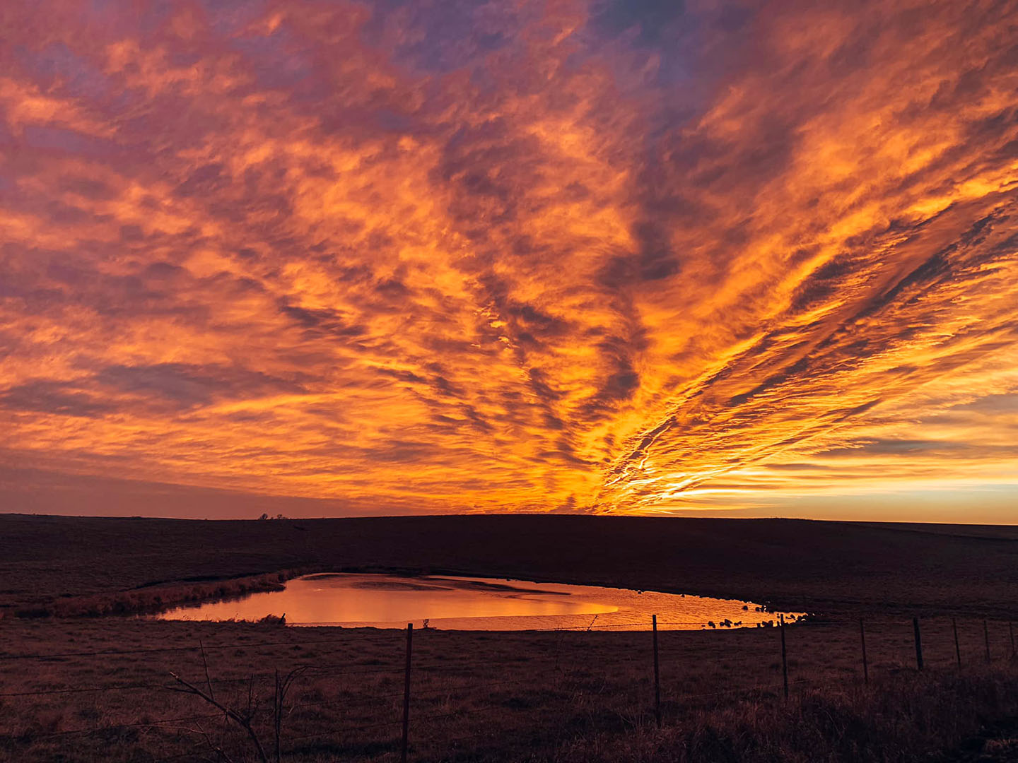 Purple and orange sunset in the country