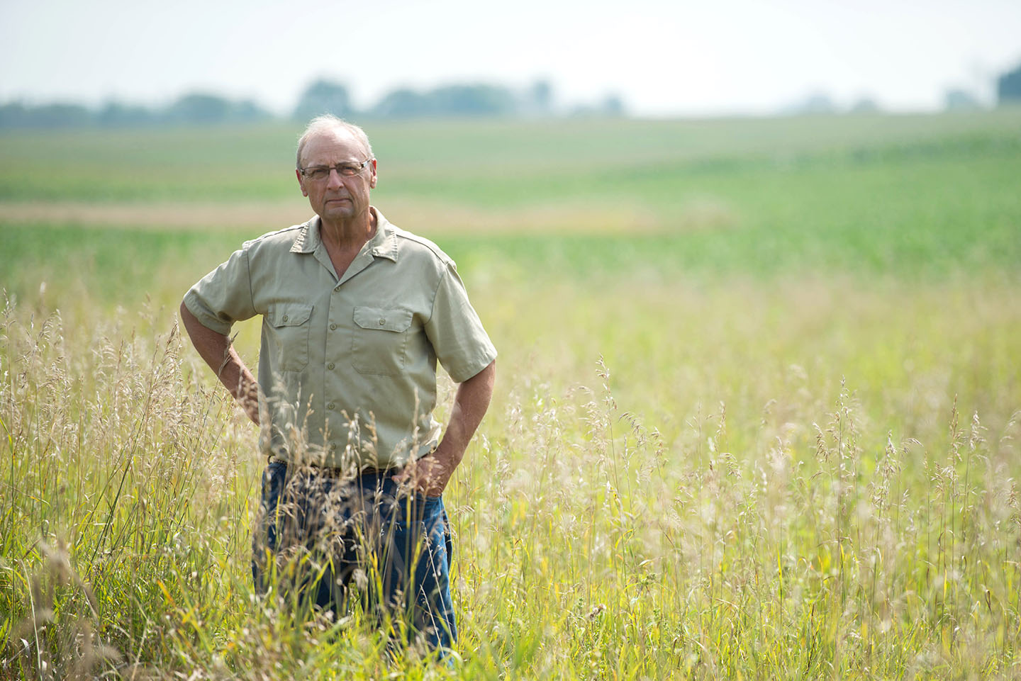 Working toward healthier soil