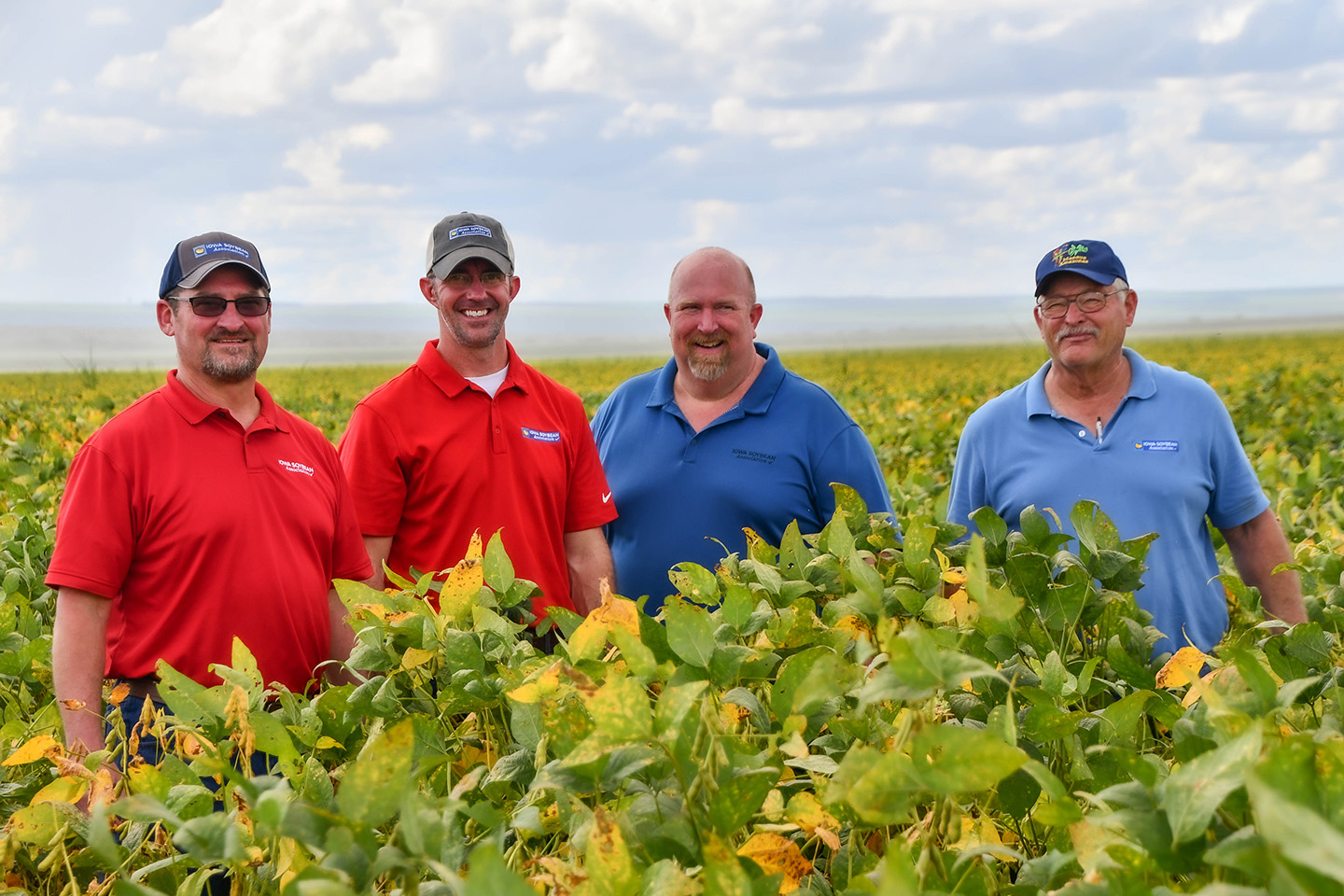 Iowa soybean farmers in soybean field in Brazil