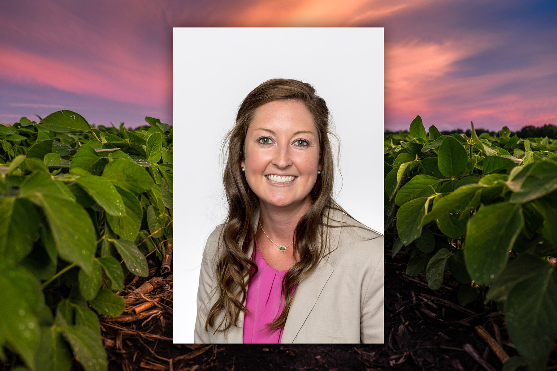 Director of U.S. Soybean Research Collaborative