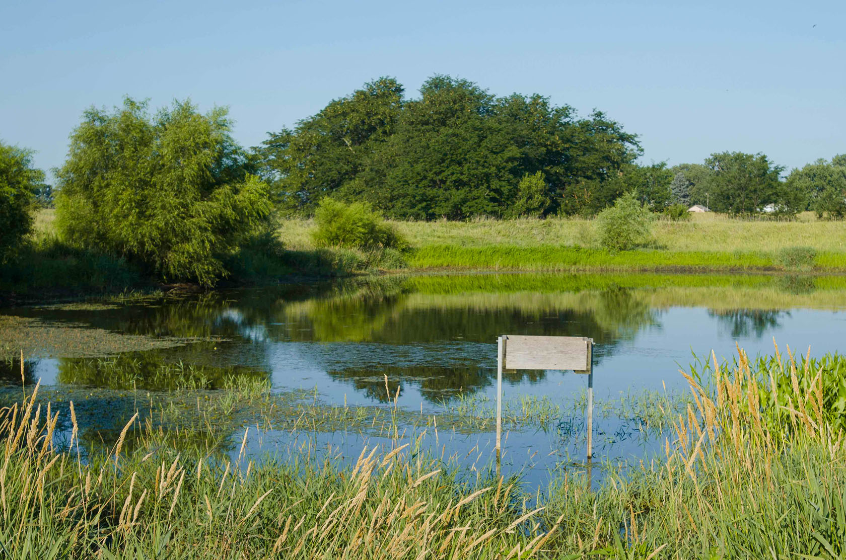 Monitor water to farm smarter