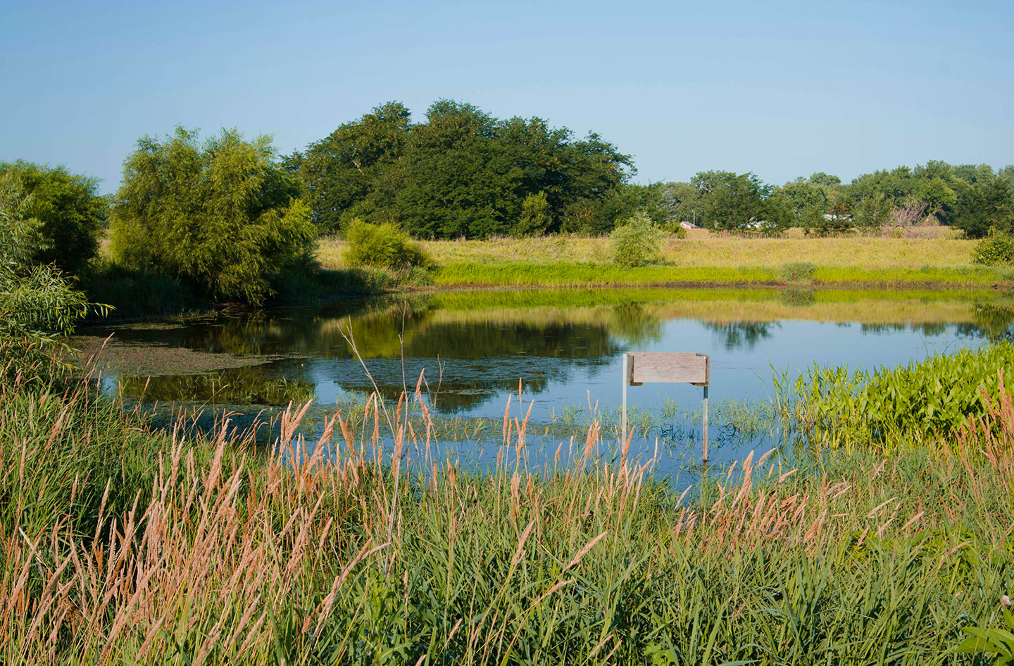 The reservoir within a drainage water recycling site ho