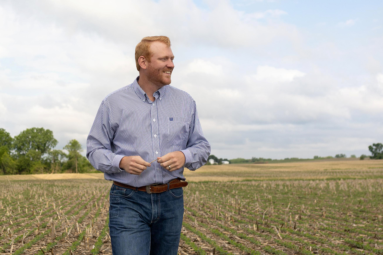 Conservation agronomist walking in a soybean field