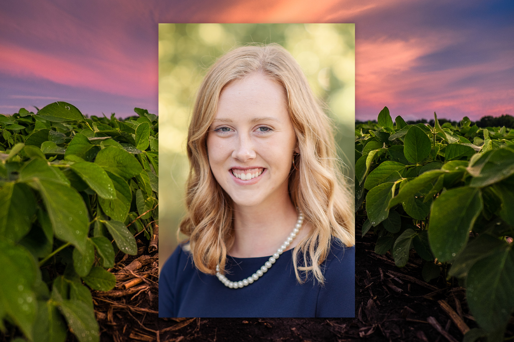 Iowa Soybean Association Intern