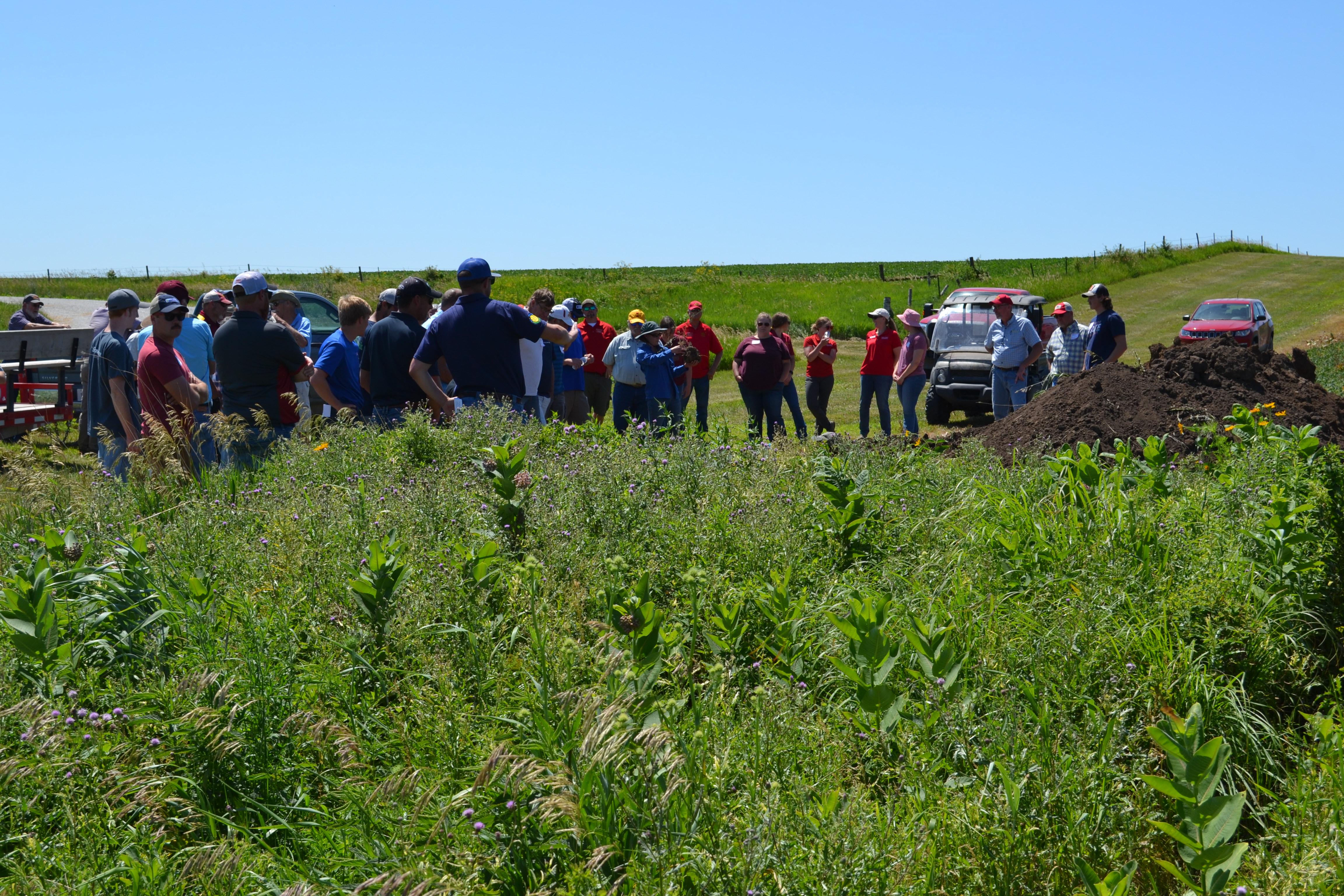 Science-based Trials of Row Crops with Prairie Strips (