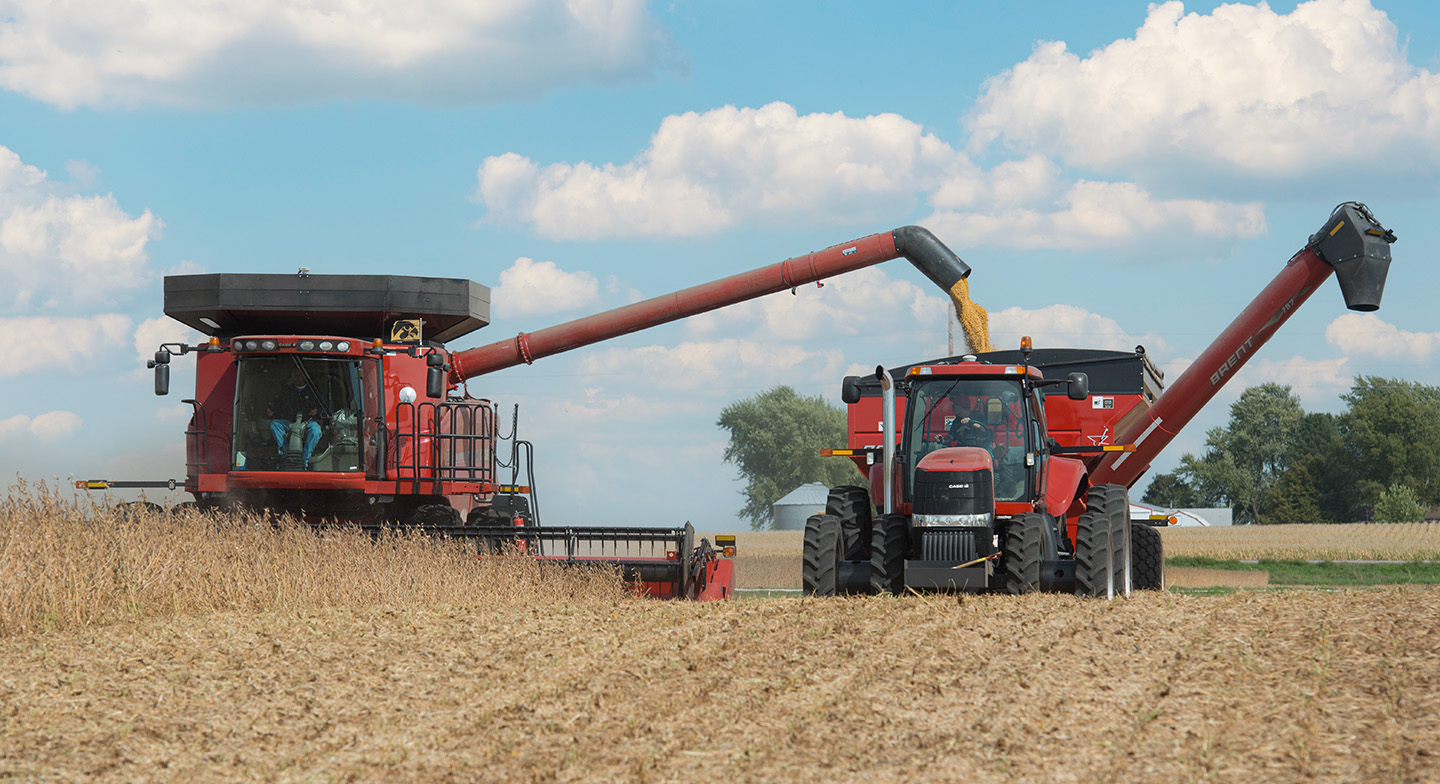 Red Combine in Soybean Field