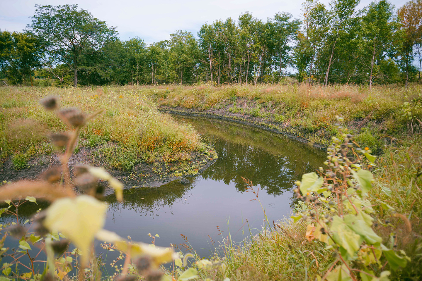 Water getting cleaned in Oxbow