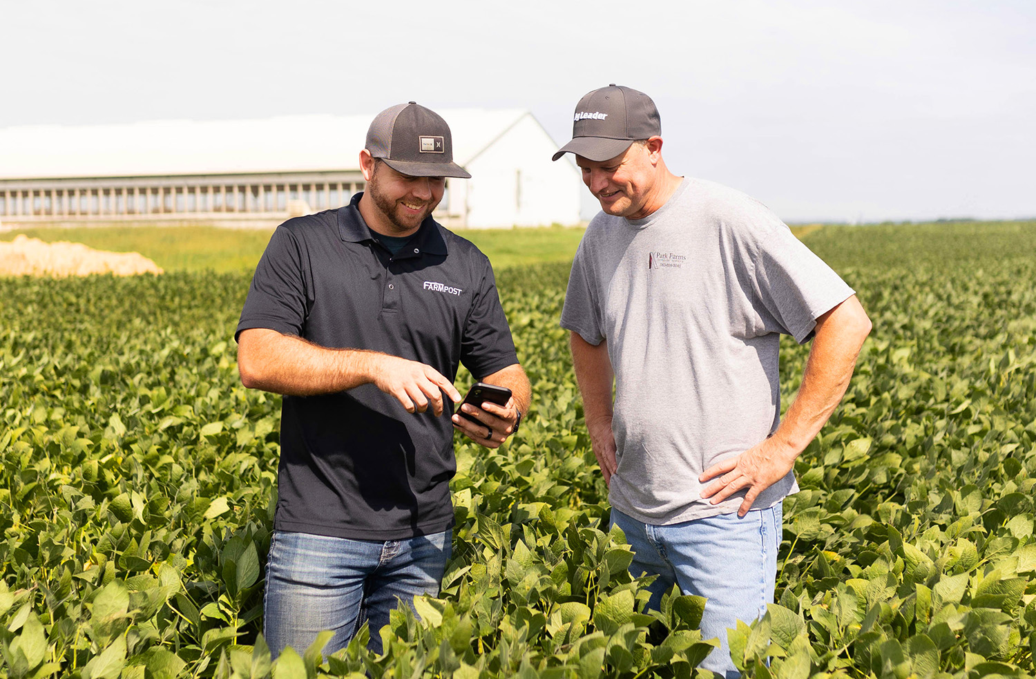Soybean growers looking for labor through an app