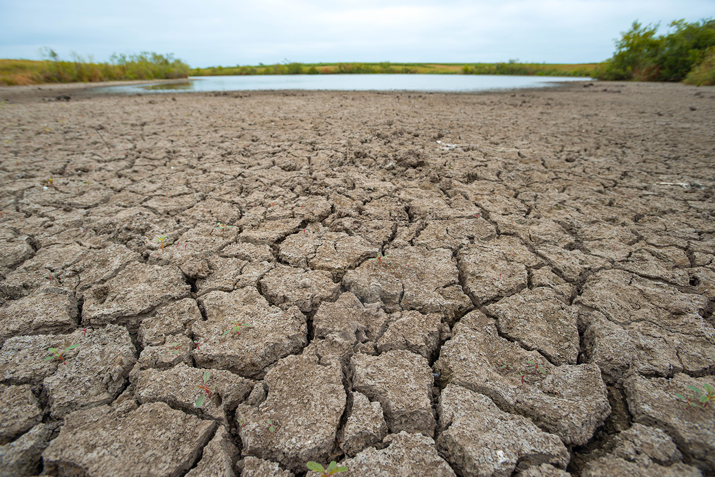 Dry farming ground in Iowa