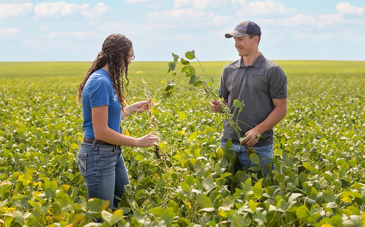 Iowa Soybean Association conservation agronomists Rosie